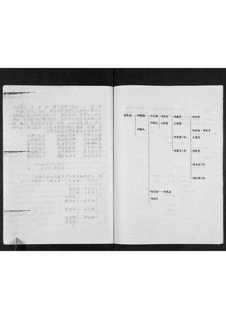 河南刘氏族谱-刘氏家谱[不分卷].pdf电子版预览图3