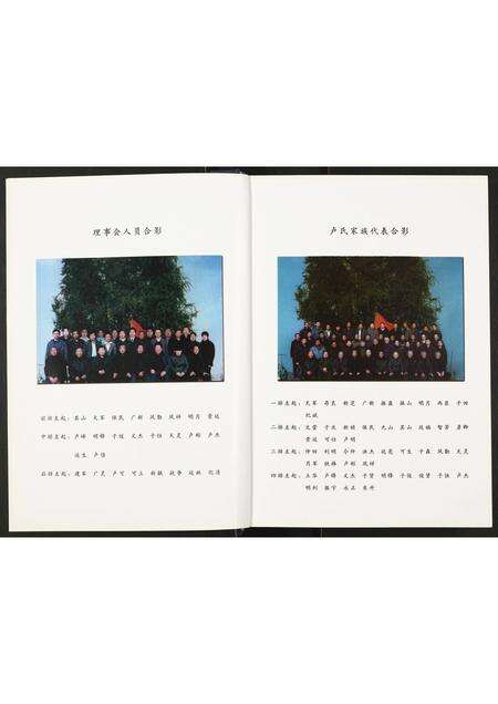 河南卢氏族谱-卢氏族谱沙北分支.pdf电子版预览图3