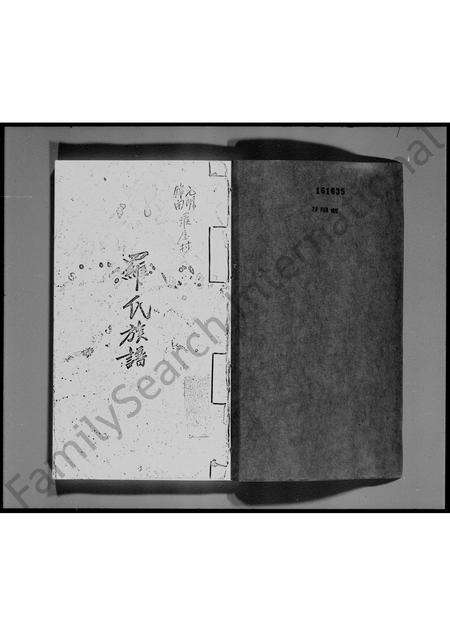 广东罗氏族谱-宝安县锦田横台山罗氏族谱.pdf电子版预览图3