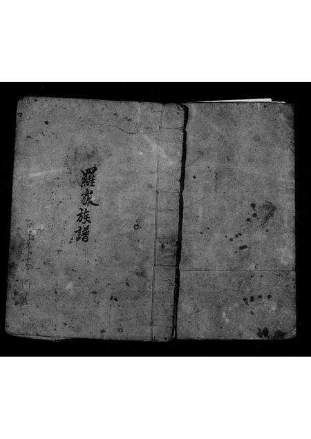 广东罗氏族谱-罗家族谱.pdf电子版预览图3