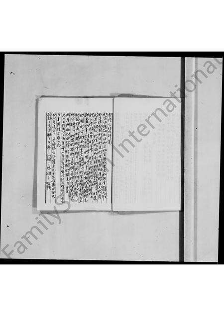 江西、广东罗氏族谱-罗氏历代族谱.pdf电子版预览图3