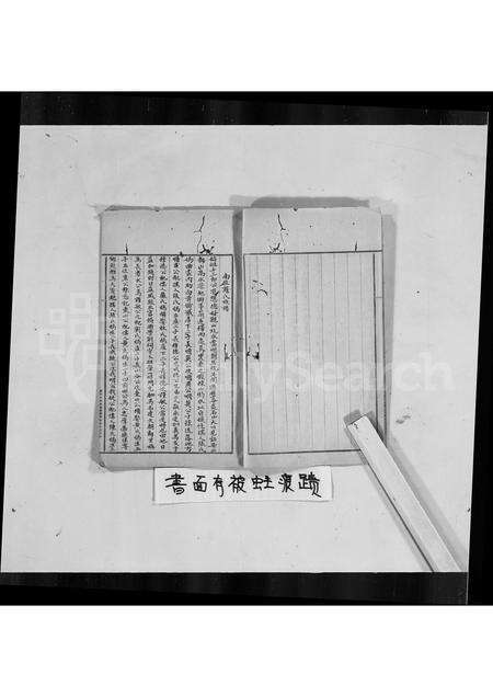 广东罗氏族谱-普宁南径罗氏族谱.pdf电子版预览图3