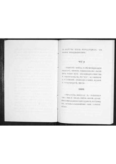 河南马氏族谱-开濮曹徐马氏家族轶事[不分卷].pdf电子版预览图3