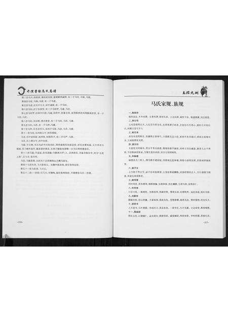 河南马氏族谱-开濮曹徐马氏家谱.pdf电子版预览图3