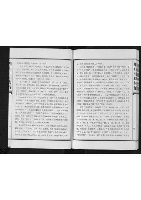 河南牛氏族谱-牛氏族谱.pdf电子版预览图3