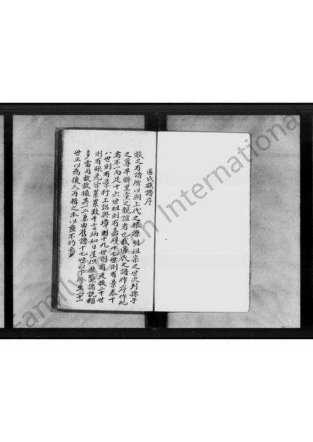 广东区氏族谱-平阳区氏族谱.pdf电子版预览图3
