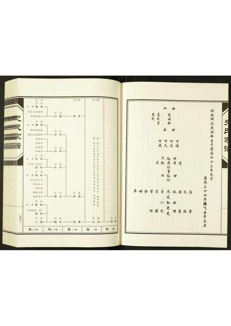 河南史氏族谱-史氏宗谱.pdf电子版预览图3