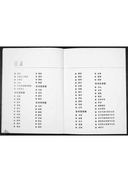 河南孙氏族谱-孙氏家谱.pdf电子版预览图3