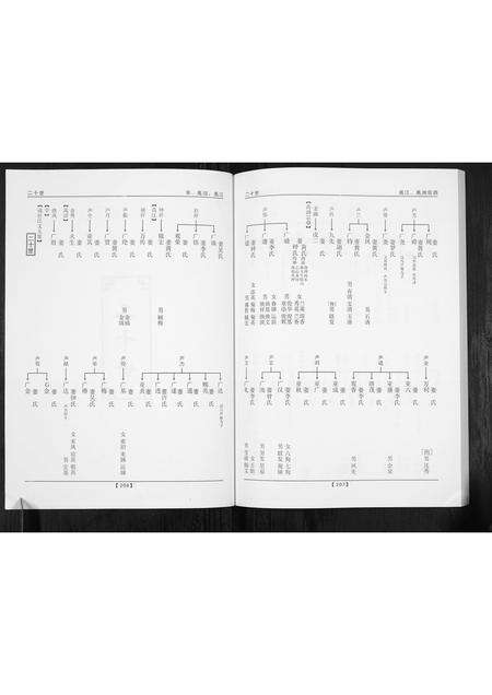 广东唐氏族谱-唐氏族谱.pdf电子版预览图3