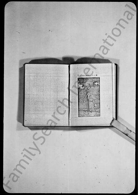 广东王氏族谱-东莞虎门王氏家谱.pdf电子版预览图3