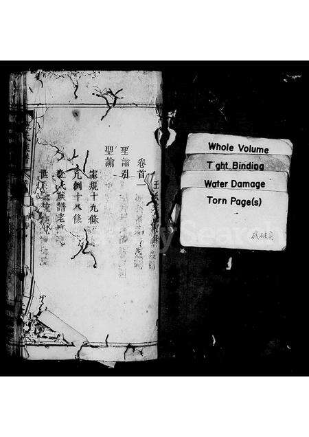 江西、广东、福建王氏族谱-王氏族谱 [3卷,首2卷].pdf电子版预览图3