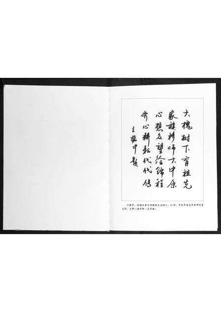 河南王氏族谱-夏河王氏家谱.pdf电子版预览图3