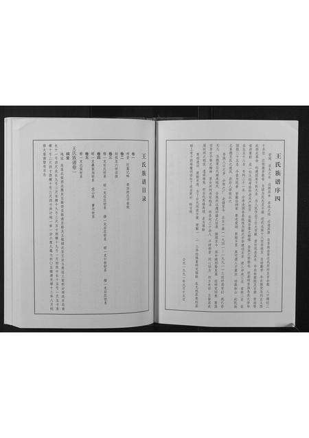 河南王氏族谱-王氏族谱.pdf电子版预览图3