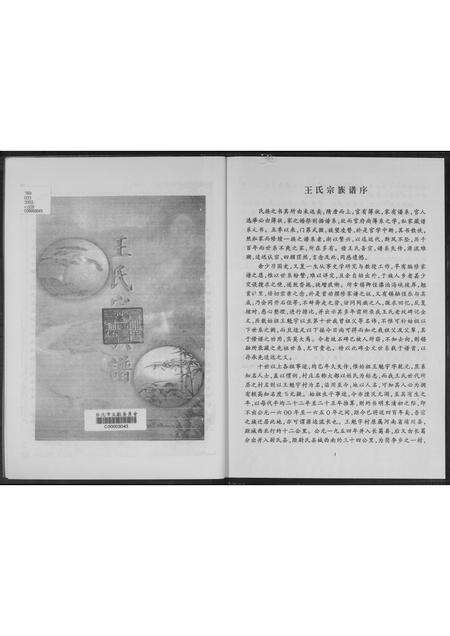 河南王氏族谱-王魁宇.王氏宗族谱.pdf电子版预览图3