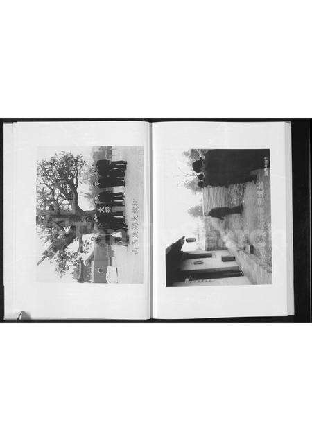 河南王氏族谱-王氏家谱 [不分卷].pdf电子版预览图3