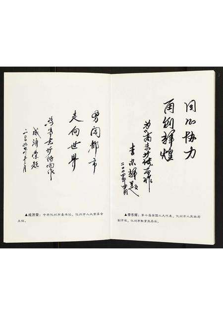 广东未知族谱-[谢氏]高志塘传.pdf电子版预览图3