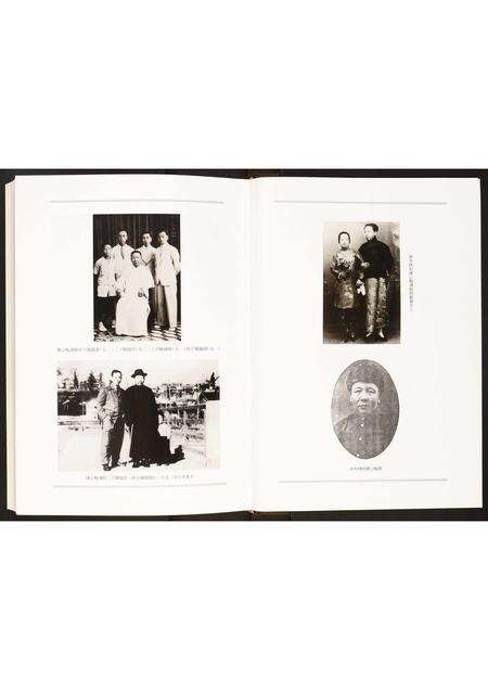 广东未知族谱-隆都大巷陈氏族谱.pdf电子版预览图3