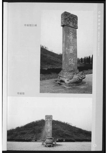 河南未知族谱-根在商丘.pdf电子版预览图3