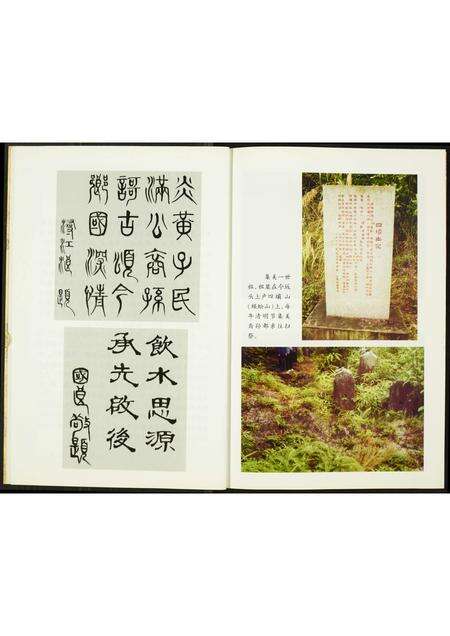 福建陈氏族谱-集美社陈氏古今任录.pdf电子版预览图3