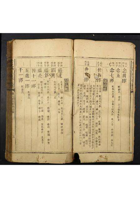 广东伍氏族谱-安定伍氏重修族谱.pdf电子版预览图3