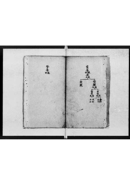 广东徐氏族谱-东海徐氏谱畧 [不分卷].pdf电子版预览图3