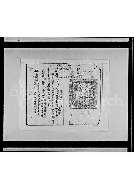 广东杨氏族谱-荃湾油金头村杨姓族部[谱].pdf电子版预览图3