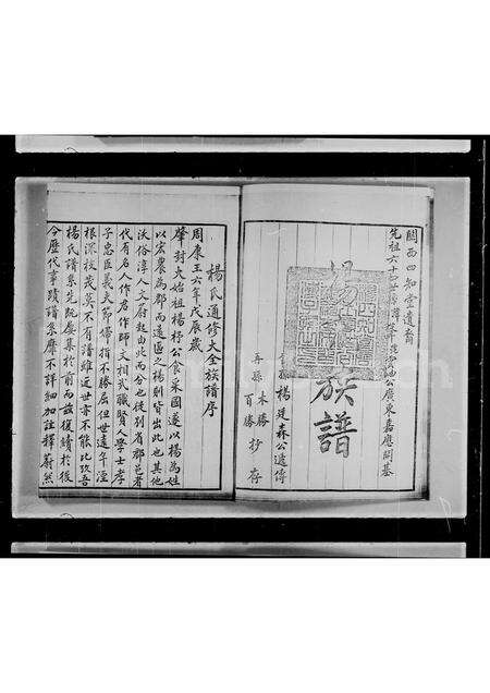 广东杨氏族谱-杨氏族谱.pdf电子版预览图3