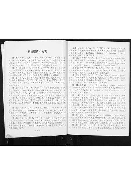 河南杨氏族谱-杨珍宗族世系家牒.pdf电子版预览图3