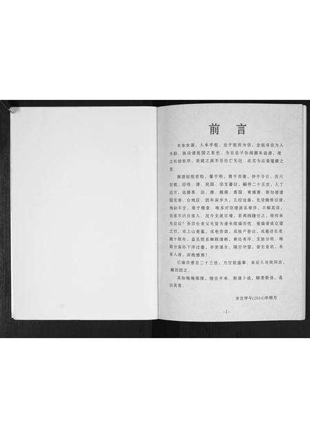 河南叶氏族谱-林内叶氏[不分卷].pdf电子版预览图3