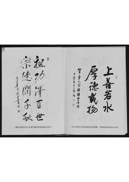 河南章氏族谱-唐桐章氏家族谱.pdf电子版预览图3