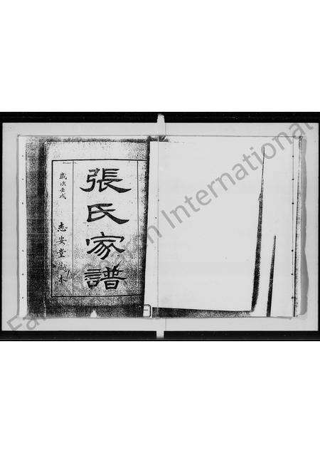 广东张氏族谱-张氏家谱.pdf电子版预览图3