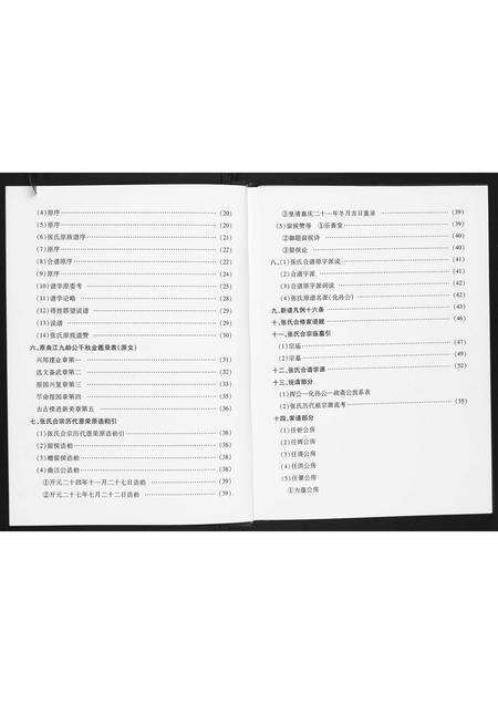 广东张氏族谱-张氏族谱.pdf电子版预览图3