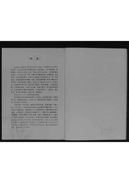 河南张氏族谱-南流张氏家谱[不分卷].pdf电子版预览图3