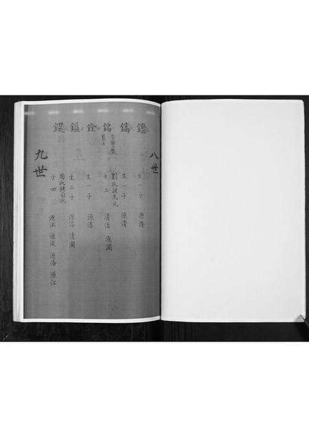 河南张氏族谱-张氏家谱.pdf电子版预览图3