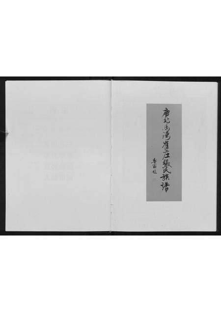 河南张氏族谱-张氏族谱.pdf电子版预览图3