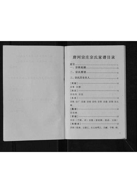 河南宗氏族谱-唐河宗庄宗氏家谱[不分卷].pdf电子版预览图3