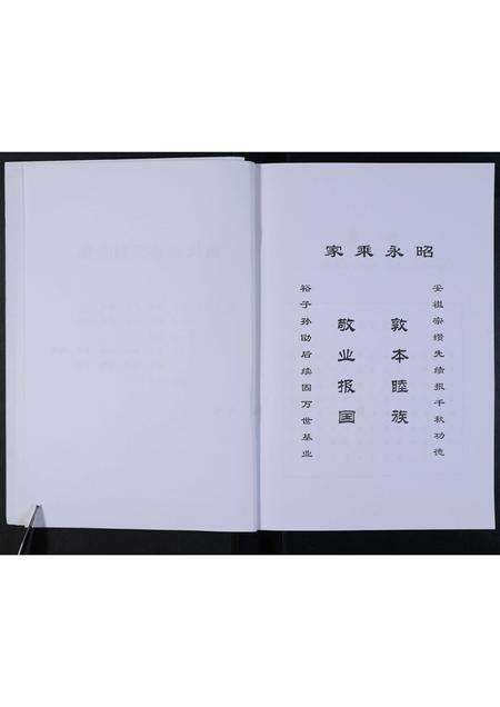 河南戴氏族谱-鹿邑淮阳戴氏族谱.pdf电子版预览图3