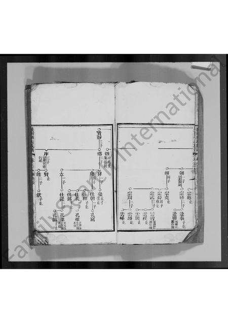 广东单氏族谱-岭南单氏十修族谱 [残卷].pdf电子版预览图3