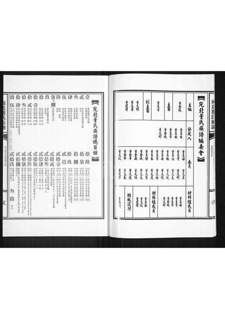 河南董氏族谱-河南宛北董氏族谱.pdf电子版预览图3