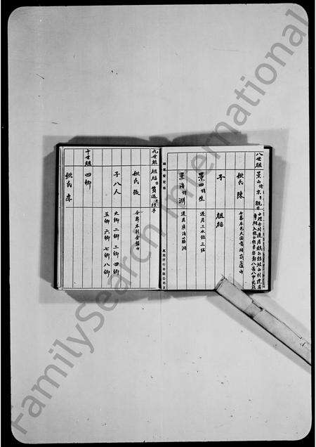 广东胡氏族谱-胡氏族谱.pdf电子版预览图3