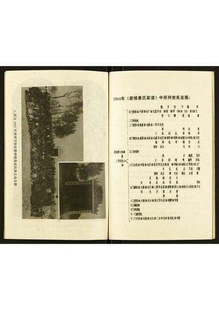 河南惠氏族谱-惠氏族谱续录 [不分卷].pdf电子版预览图3