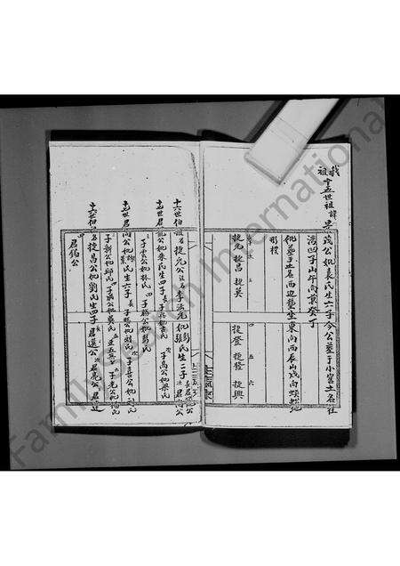 广东李氏族谱-[宝安县乌蛟腾明芳公所传] _ 李氏族谱.pdf电子版预览图3