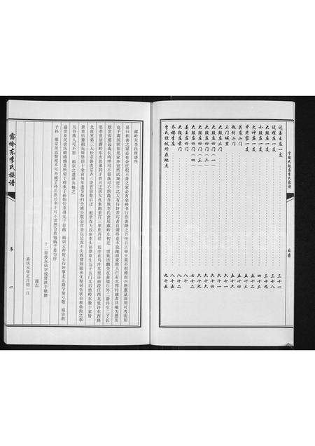 河南李氏族谱-露岭东李氏族谱.pdf电子版预览图3