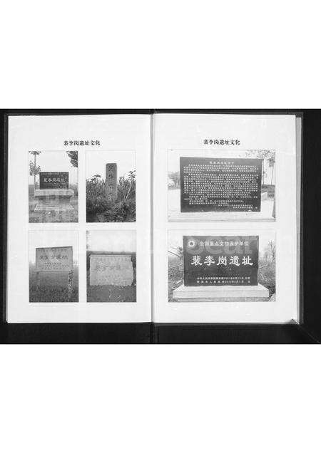 河南李氏族谱-李氏家谱 _ 河南省新郑市裴李岗.pdf电子版预览图3