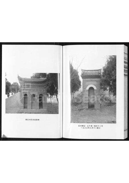 河南刘氏族谱-刘氏家谱 _ 河南省商水县胡吉镇后刘村广居堂 [9卷].pdf电子版预览图3