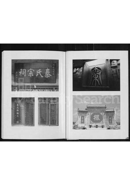 河南秦氏族谱-秦氏家谱 [不分卷].pdf电子版预览图3