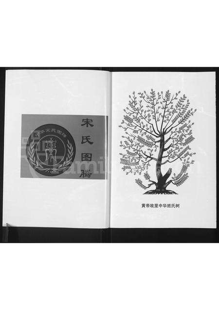 河南宋氏族谱-郑州府君庙宋氏族谱.pdf电子版预览图3