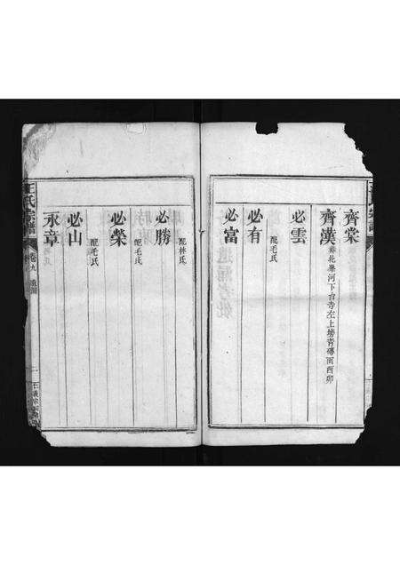 河南、安徽王氏族谱-王氏宗谱 [8卷,首末各1卷].pdf电子版预览图3