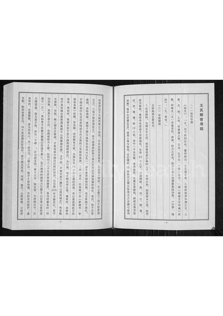 河南王氏族谱-王氏族谱 _ 长垣县蒲西区菜北村.pdf电子版预览图3