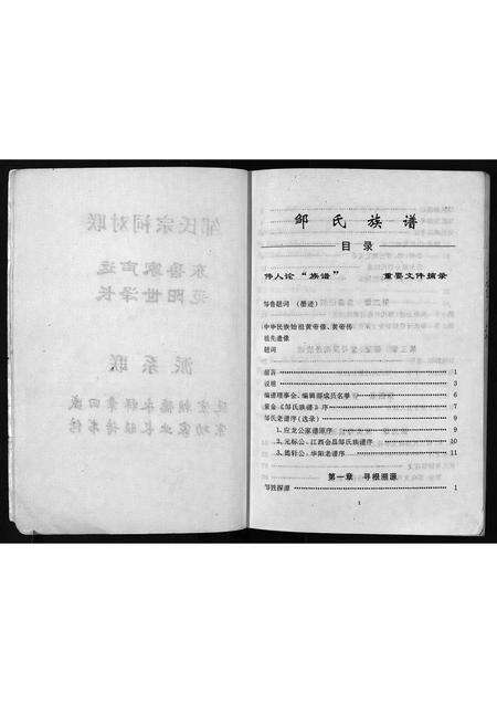 广东未知族谱-邹氏族谱.pdf电子版预览图3